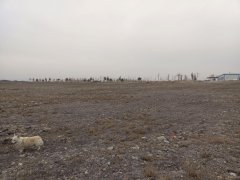 （成功案例）C7082米东区600亩地出租