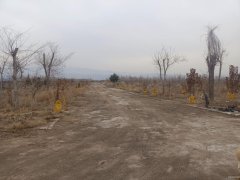 （成功案例）C7082米东区600亩地出租