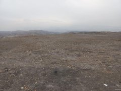 （成功案例）C7082米东区600亩地出租