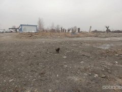 （成功案例）C7082米东区600亩地出租