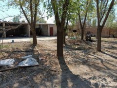 C7251厂房出租 位于昌吉市苗圃一队