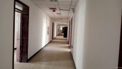 C7334石河子西路沿街商业综合楼和宾馆出租