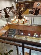 （成功案例）C7416青年路华东容锦临街门面空转超低转让