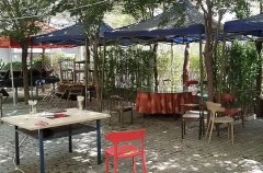 C7476西虹东路北15巷农家小院转让