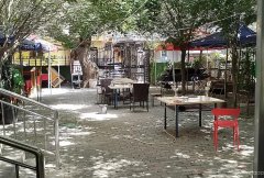 C7476西虹东路北15巷农家小院转让