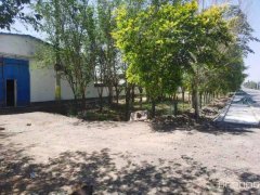 C7672厂房出租 昌吉市三工镇