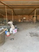 C7753昌吉大西渠玉唐村一片区两个大棚出租