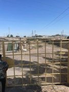 C7753昌吉大西渠玉唐村一片区两个大棚出租