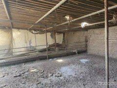 C7753昌吉大西渠玉唐村一片区两个大棚出租