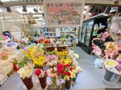（成功案例11天成功转出）C7805植物园花店转让