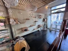 C7882秦郡二期旺铺出租