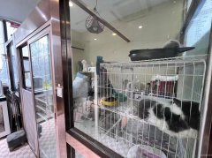 C7882秦郡二期旺铺出租