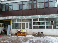 C7919位于奇台县健康中路儿童公园附近结构性院落出租