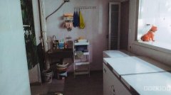 C8003世界公元2期19楼59平旺铺转让