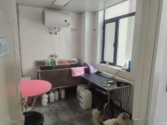 C8048米东区万科公园大道108平宠物店转让 可空转