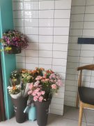 C8055沙依巴克区阿勒泰路大修厂公交车站旁15平饮品店急转