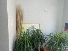 C8107位于昌吉世纪花园门口旁57平旺铺空转