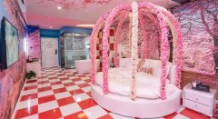 （成功案例）C8111开发区二期YOYO环球港1237平主题