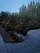 C8134位于奇台县西北湾附近农家院对外出租转让