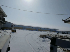 C8277厂房低价出租或出售