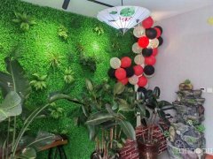 C8315位于五彩湾新城商业街313平店面转让