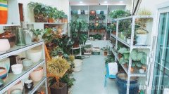（成功案例）C8399乌鲁木齐站陶菊园50平花店转让