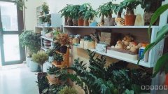 （成功案例）C8399乌鲁木齐站陶菊园50平花店转让