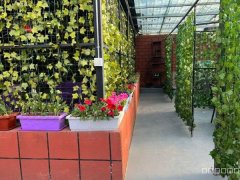 C7584位于昌吉市吐鲁番东路与延安南路交叉口临