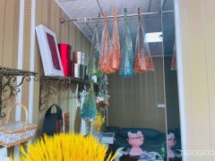 （成功案例）C8595昌吉青年路花店低价转让