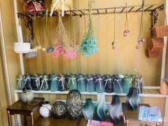 （成功案例）C8595昌吉青年路花店低价转让