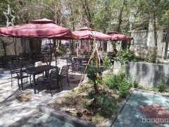 （成功案例）C8652南湖北路450平农家小院转让