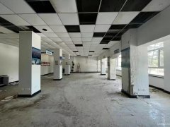 C8655昌吉市双主干道交汇处整栋楼出租