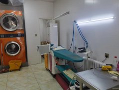 C8686营业中干洗店转让