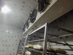 C8706西山玉环工业园200平食品加工厂转让