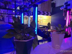 C8784昌吉青年南路华东酒吧街350平酒吧转让