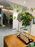 C8809开发区万达广场附近345平康体养生馆转让