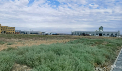 C8877米东区厂房出租整租