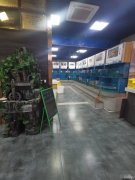 （成功案例）C8878新北园春泽普街560平餐厅转让