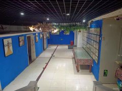 C8964昌吉市健康东路文工团对面临街门面出租