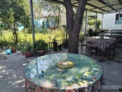 （成功案例）C9005铁厂沟曙光村美食街500餐厅转让