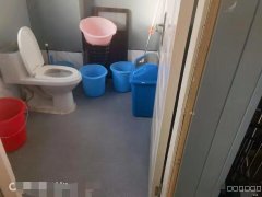 （成功案例）C9042北站西路果之美附近148平自助洗车店转