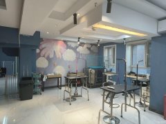 （成功案例）C9055开发区秦基大厦160平宠物店转让
