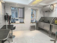 （成功案例）C9055开发区秦基大厦160平宠物店转让