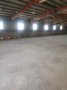 C9063西山广新养殖机地11号厂房出租