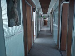 C9065金砖大厦16楼办公室出租