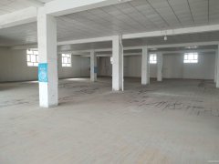 C9094米东区振兴村商业综合体出租