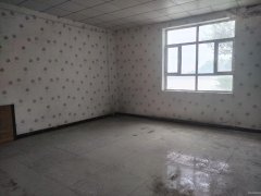 C9094米东区振兴村商业综合体出租