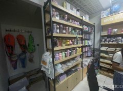 C9152昌吉富有国际十四小九中门口晨光文化用品店转让