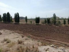 C9161位于昌吉市高新区工业性结构厂房空地出租