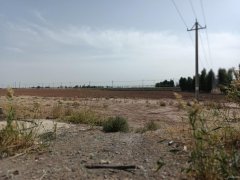 C9161位于昌吉市高新区工业性结构厂房空地出租